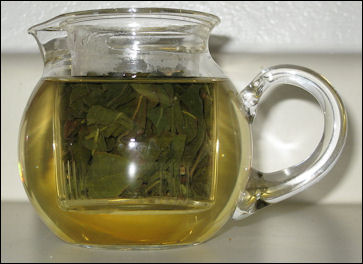 20111102-Small pot oolong tea.jpg